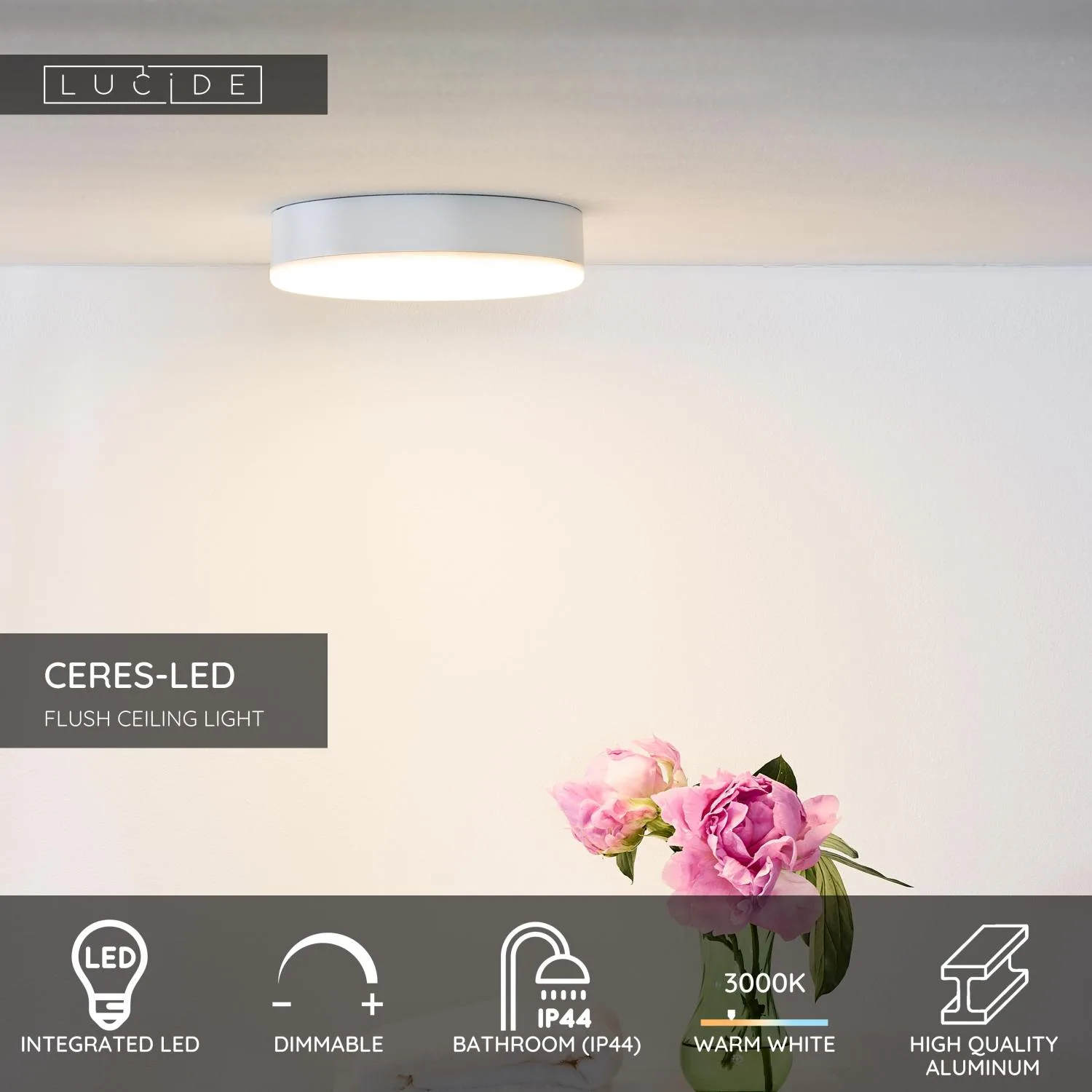 CERES-LED – Stropné svietidlo do kúpeľne – Ø 21,5 cm – LED s možnosťou stmievania – 1x30 W, 3000 K – IP44 – Obrázok 11
