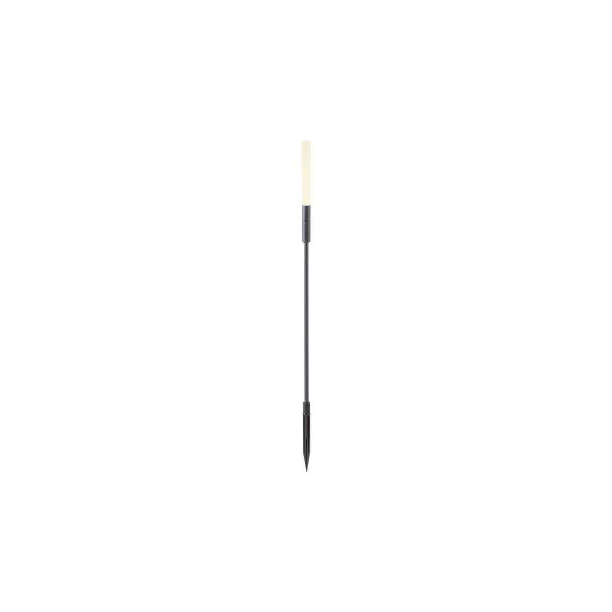 TORCH