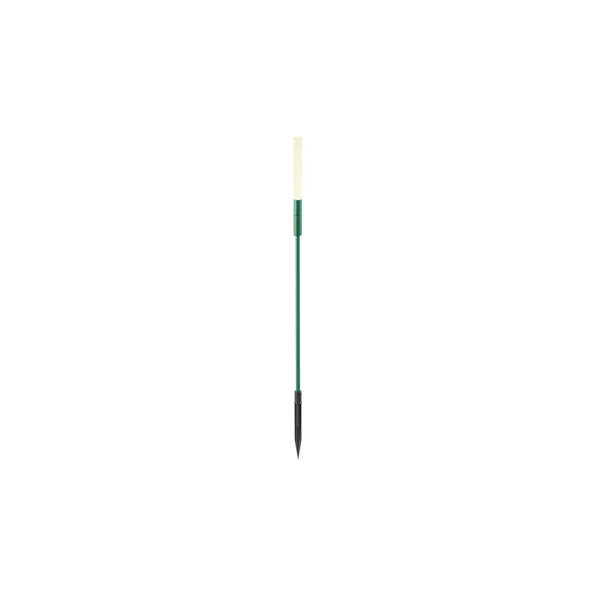 TORCH – Obrázok 3