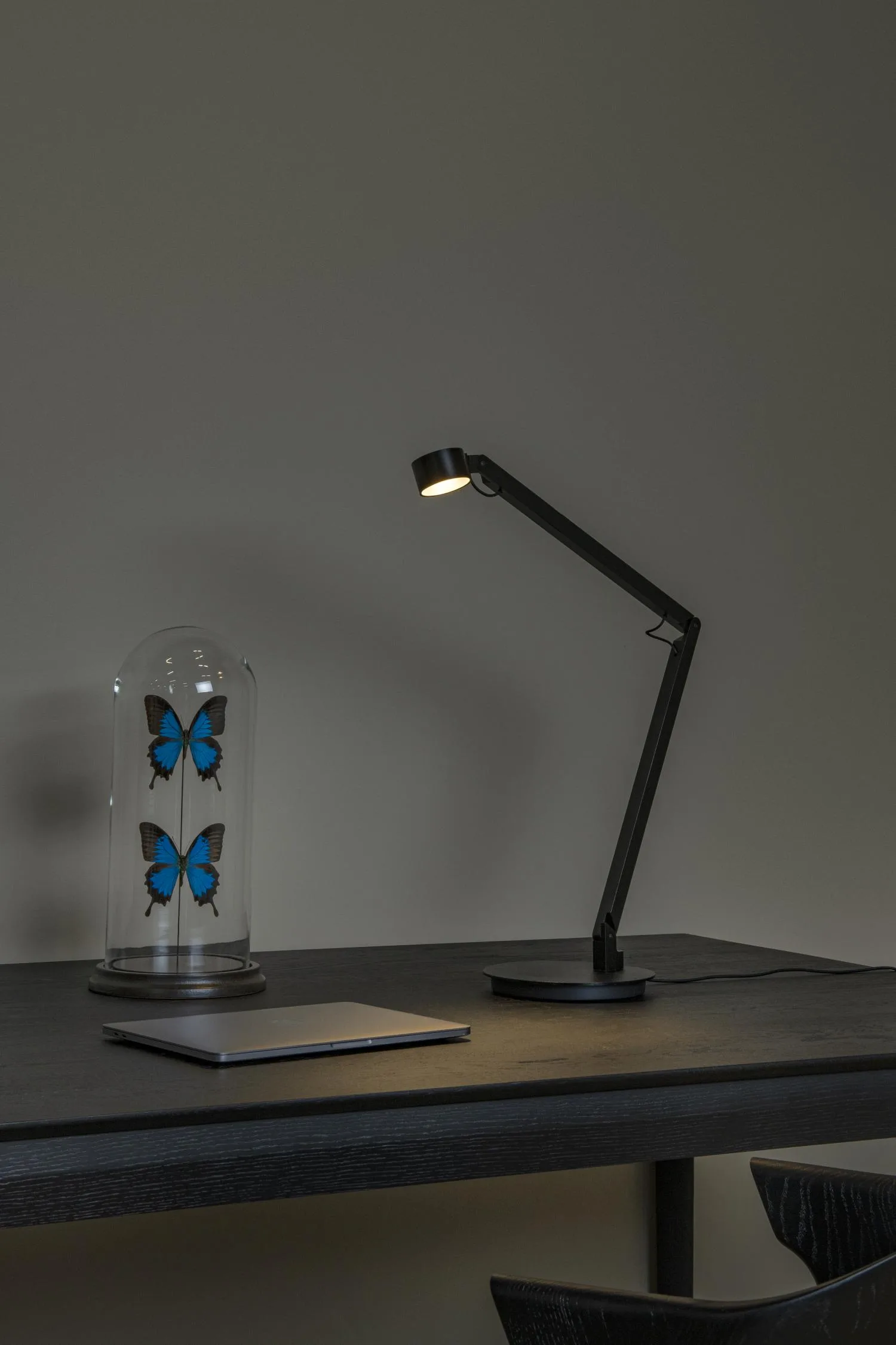 OGDEN - Stolná lampa - LED 3 StepDim - 1x7W 3000K – Obrázok 12
