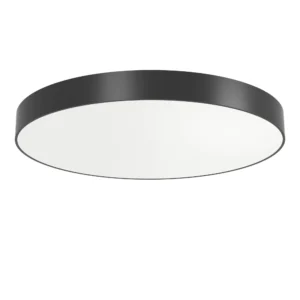 XPILL RND PANEL DALI 80W UGR<19 220-240V AC CRI.80 fi.800 mm IP40 80dgr