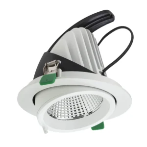 XDOWN REC. ADJ. FITTING DALI 1x33W 220-240V AC CRI.90 IP20 UGR<16 38dgr