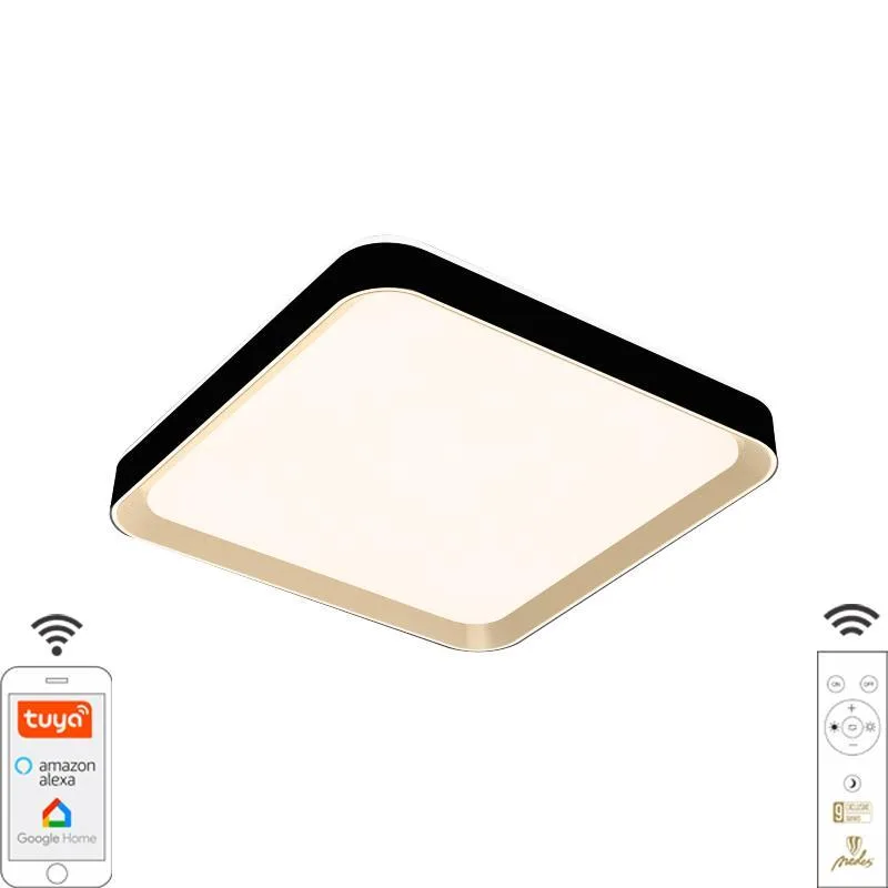 LED stropná lampa OPAL + diaľkový ovládač + Wifi 48W - LC902MB/S – Obrázok 3