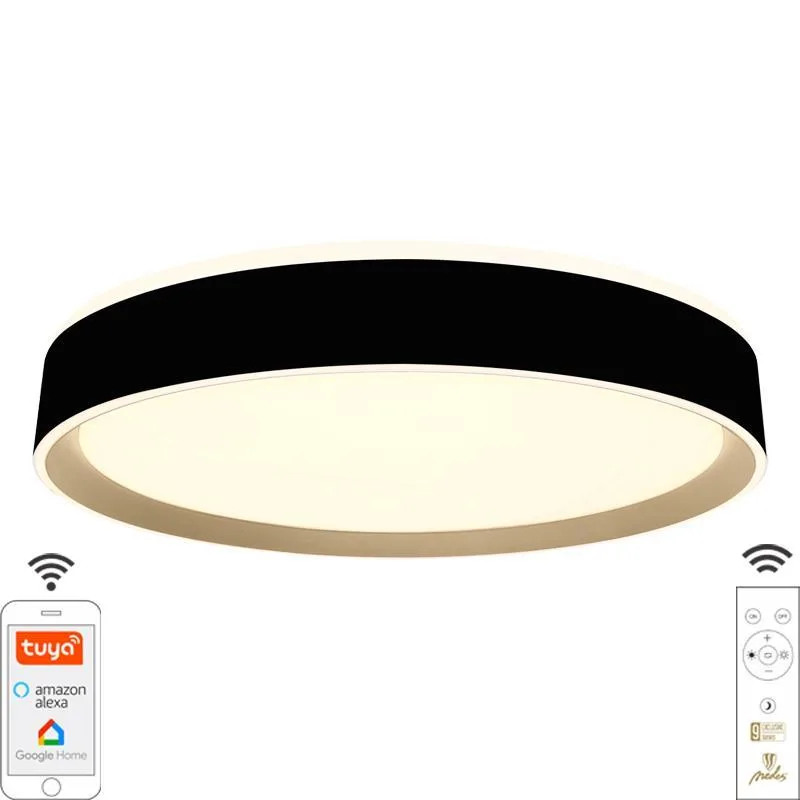 LED stropná lampa OPAL + diaľkový ovládač + Wifi 48W - LC902MB – Obrázok 5