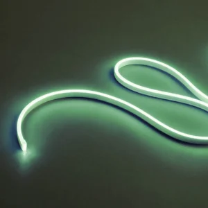 XSNAKE 1m LEDS STRIP  8W/m 120LED/m 24V DC GREEN IP67 120°