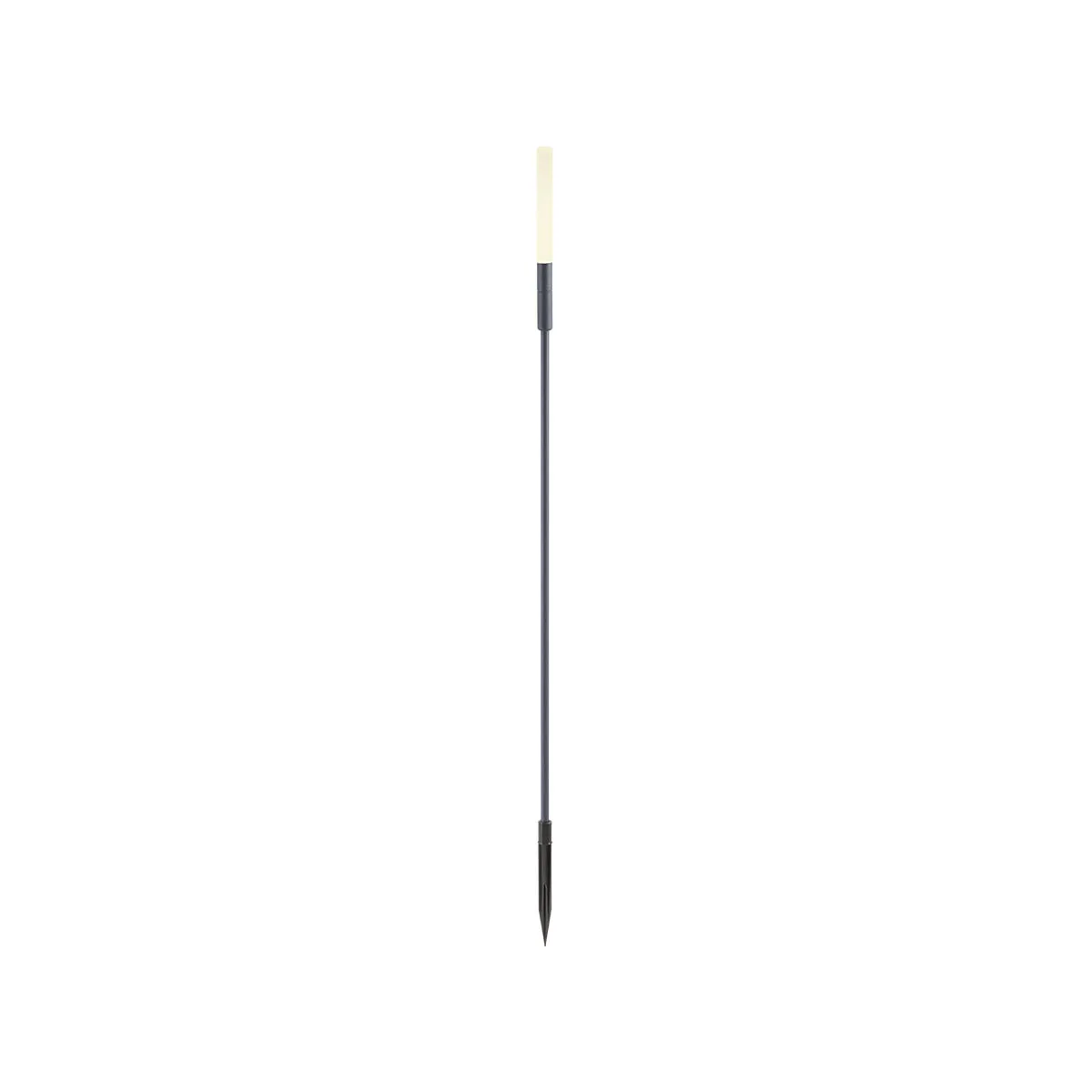 TORCH – Obrázok 4