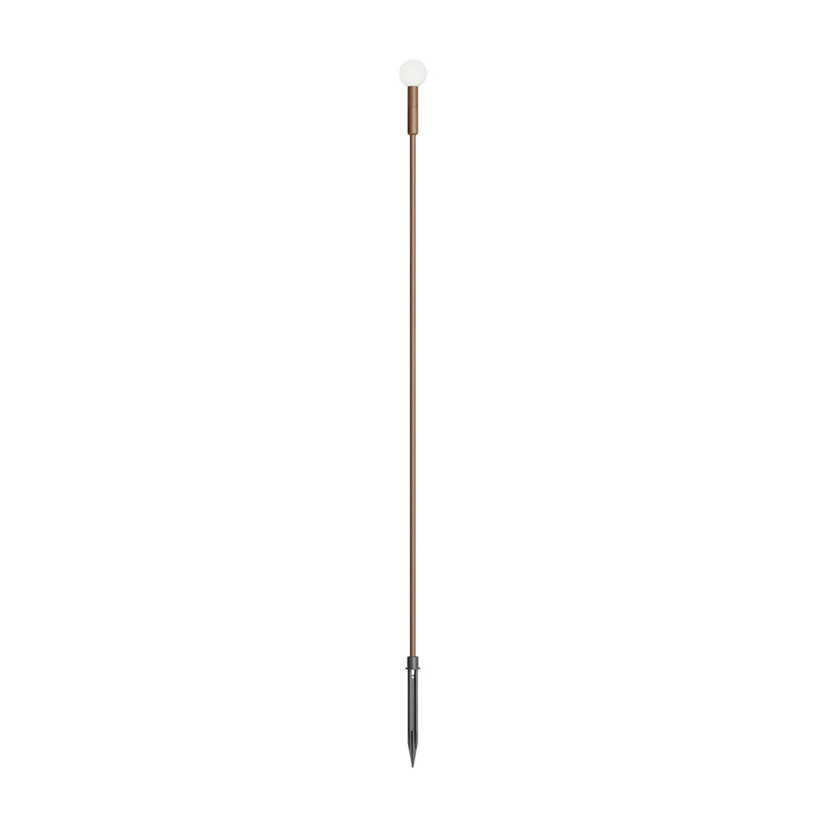 TORCH – Obrázok 17