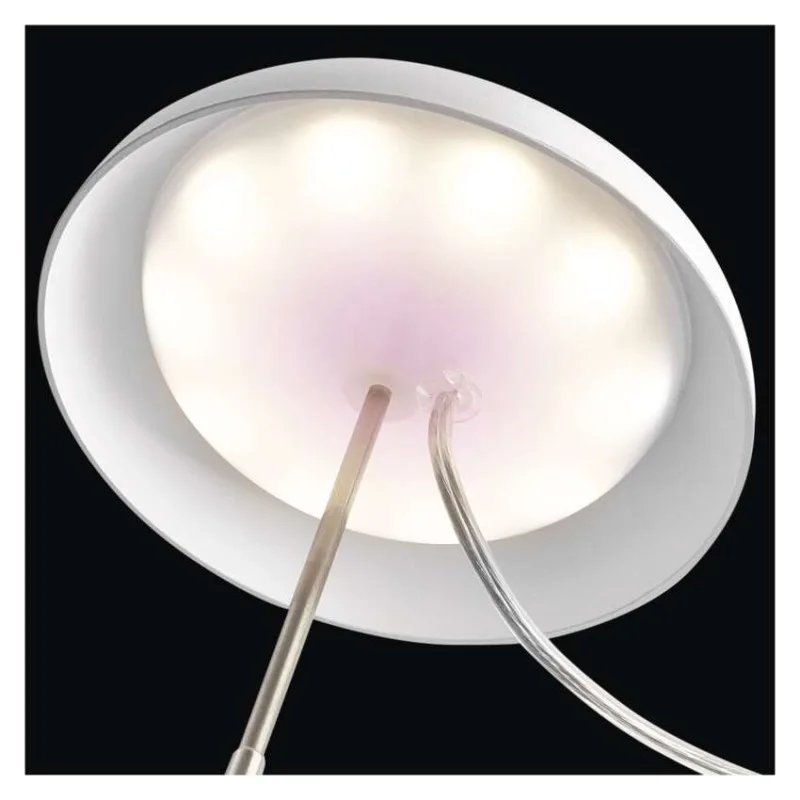 LED GROW pestovateľská lampa 5 W, časovač, biela – Obrázok 17