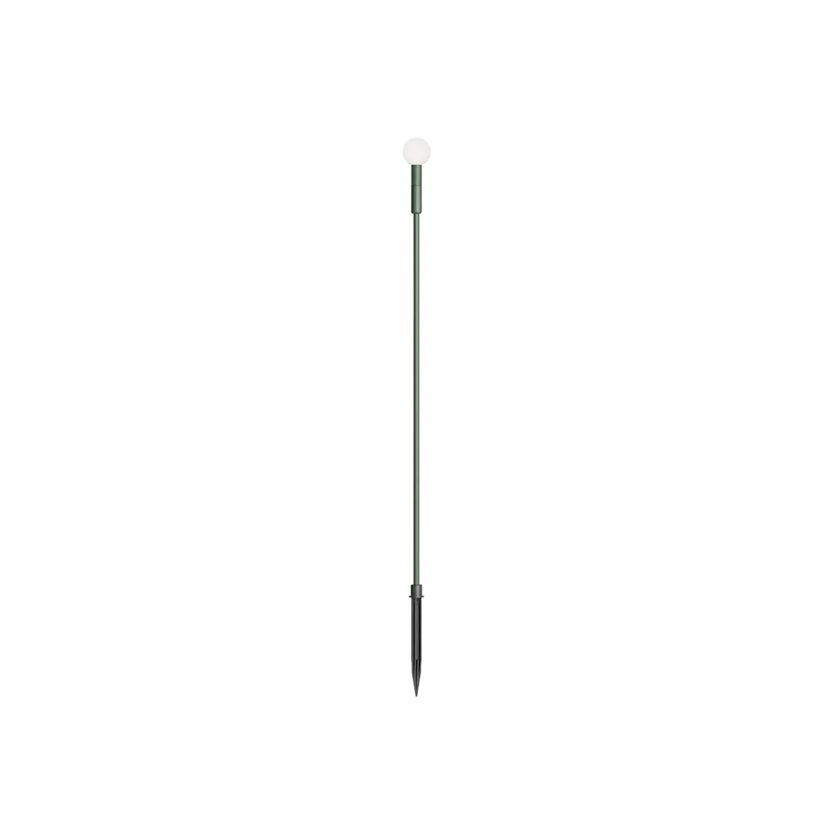 TORCH – Obrázok 15