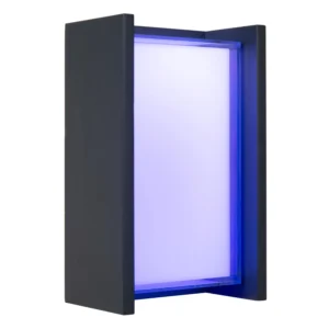 QUADRA - Nástenné svetlo vnútorné/vonkajšie - LED - RGBW - 1x12W 2700K/6500K - IP65 - čierna | Essential