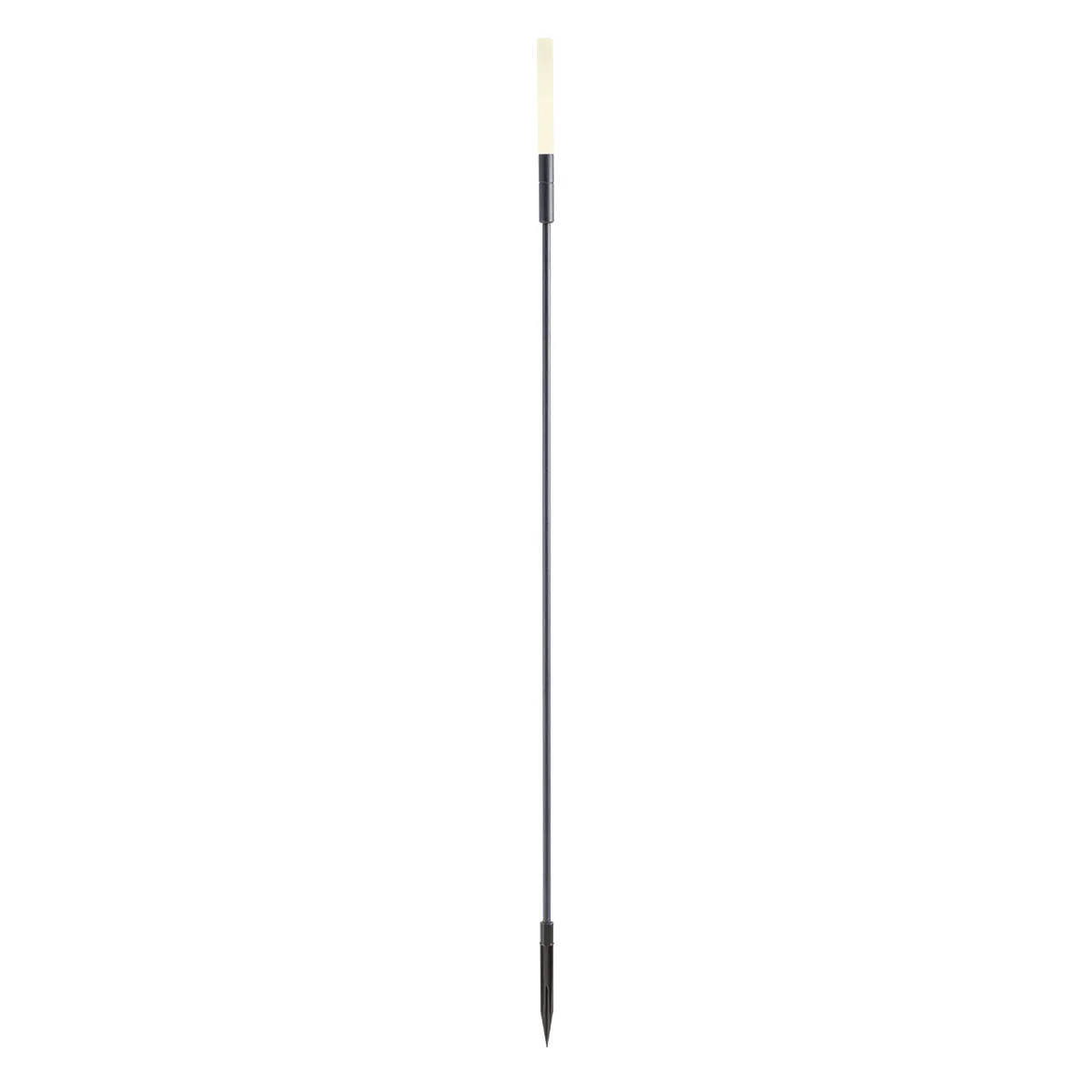 TORCH – Obrázok 7