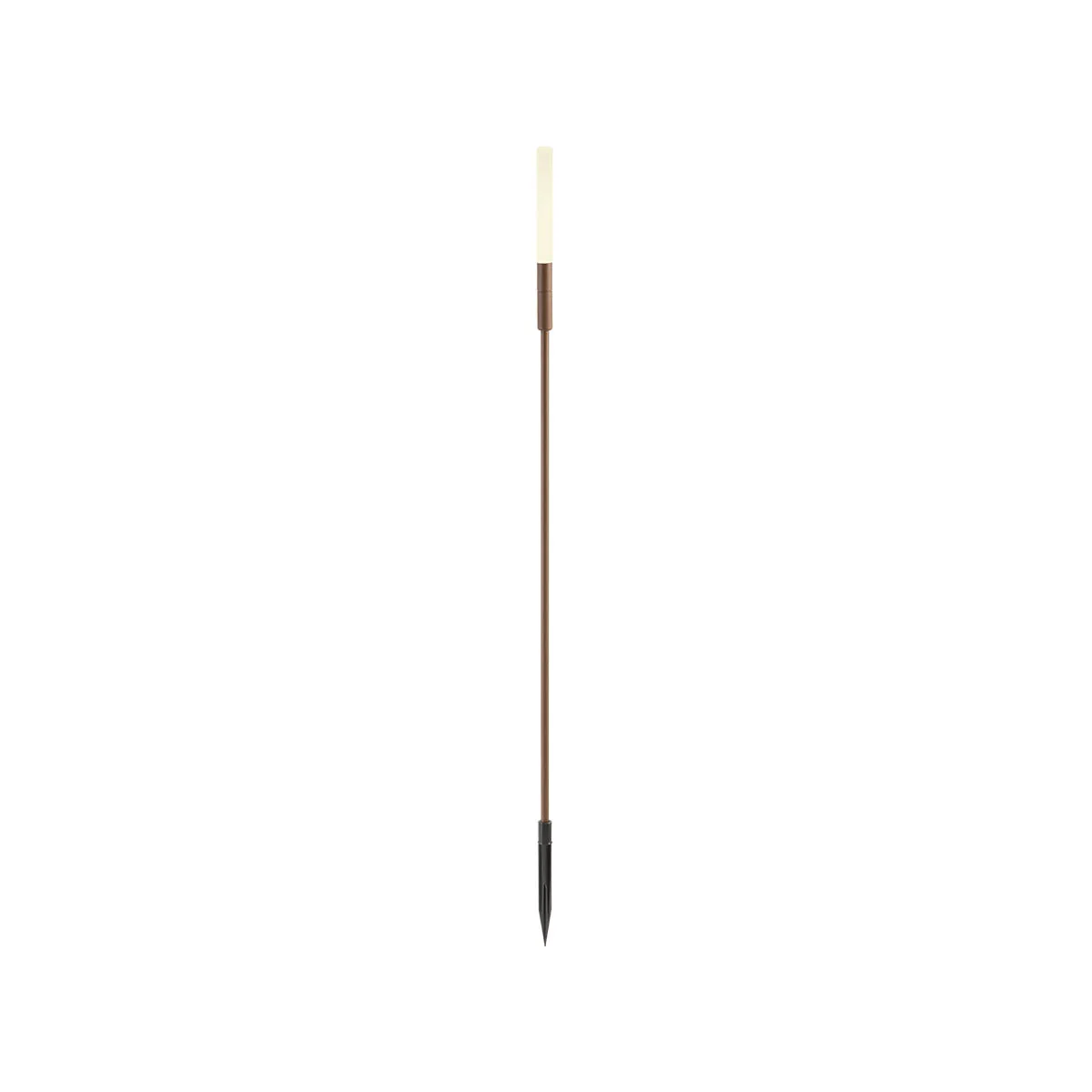 TORCH – Obrázok 5