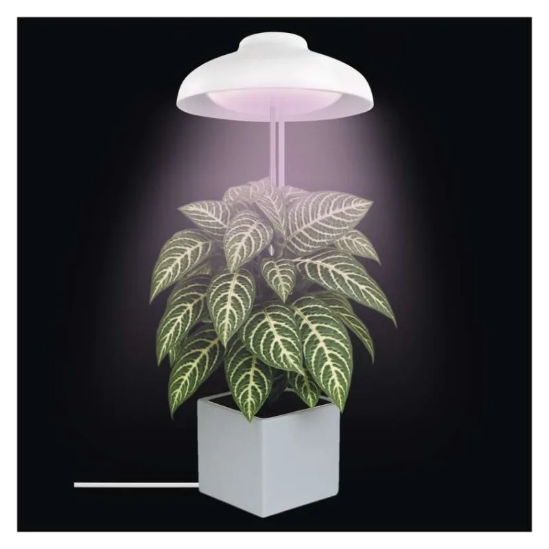 LED GROW pestovateľská lampa 5 W, časovač, biela – Obrázok 18